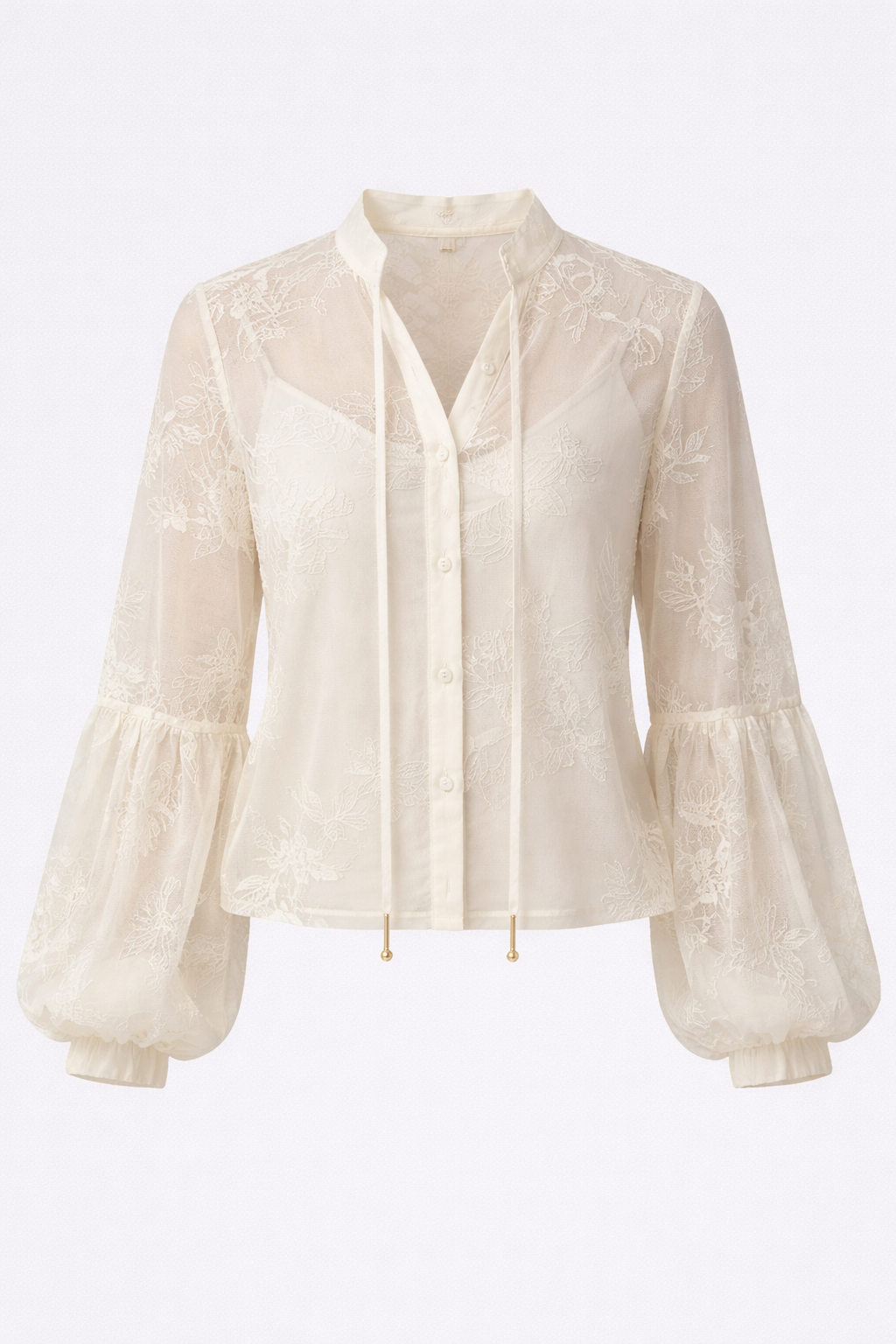 Ivory Sheer Embroidered Blouse